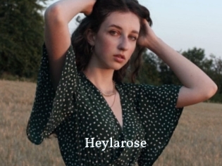Heylarose