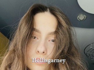 Hollisgarney