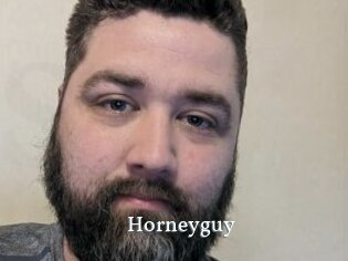 Horneyguy