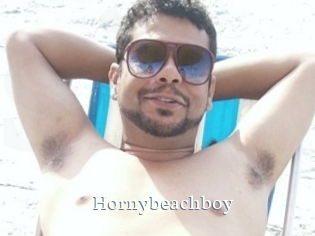 Hornybeachboy