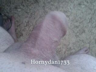 Hornydan1733