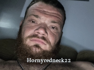 Hornyredneck22