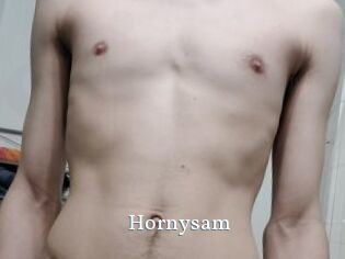 hornysam SexyIdol