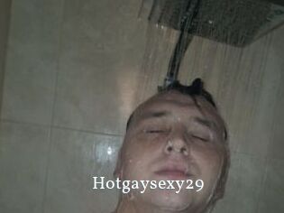 Hotgaysexy29