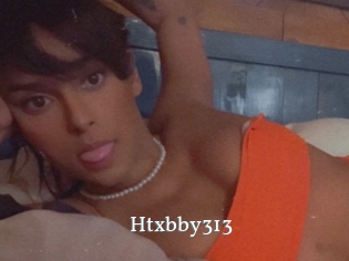 Htxbby313