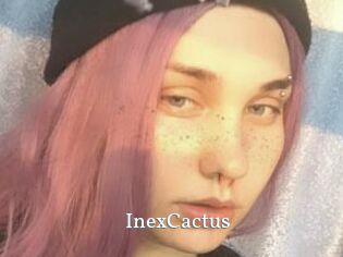 InexCactus