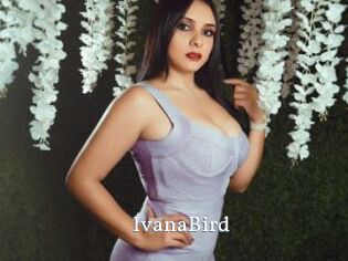 IvanaBird