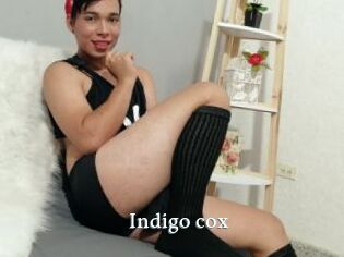 Indigo_cox