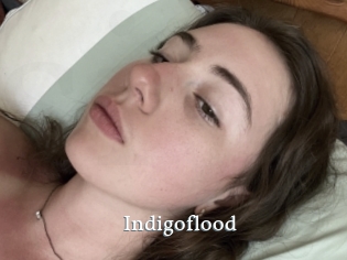 indigoflood SexyIdol
