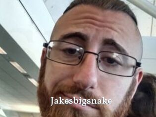 Jakesbigsnake