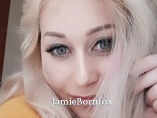 JamieBornfox