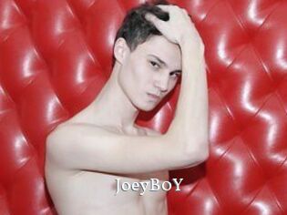 JoeyB0Y