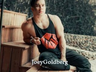 JoeyGoldberg