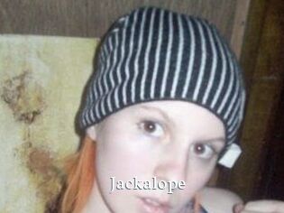 Jackalope