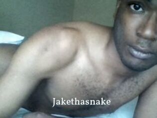 Jake_tha_snake
