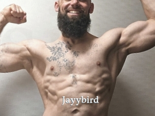 Jayybird