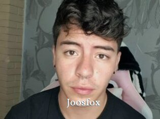 joosfox SexyIdol