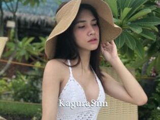 KaguraSim
