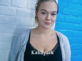 KaliSpark
