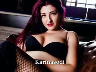 Karinasodi