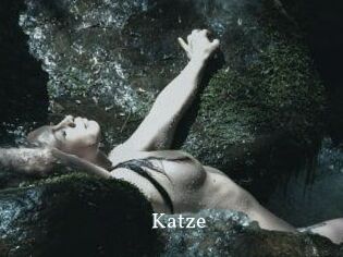 Katze