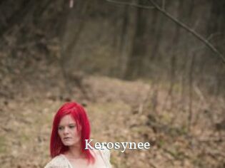 Kerosynee