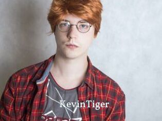 KevinTiger