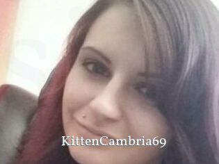 KittenCambria69