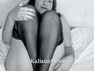 Kalisunflower