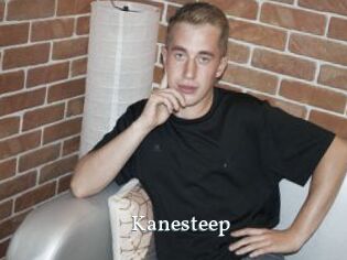 Kanesteep
