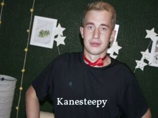 Kanesteepy