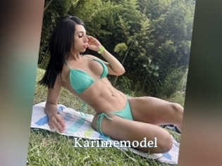 Karimemodel