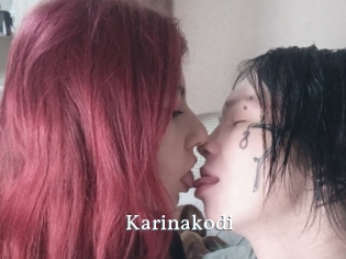 Karinakodi