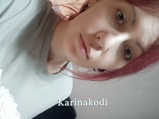Karinakodi