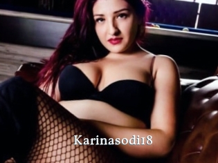 Karinasodi18