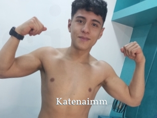 Katenaimm