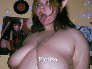kattixo SexyIdol