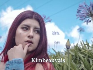 Kimbeauvais