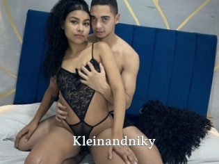 Kleinandniky