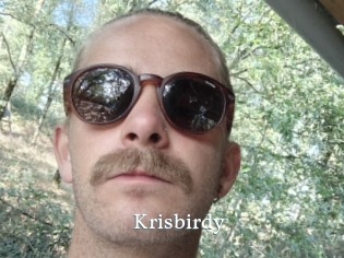 Krisbirdy