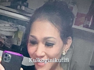 Kulkoginikutifi