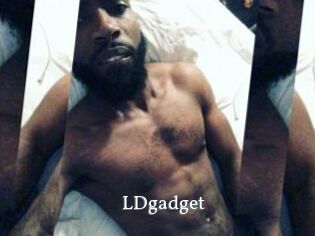 LDgadget