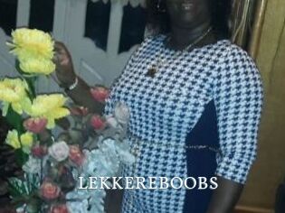 LEKKEREBOOBS