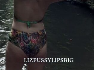 LIZPUSSYLIPSBIG