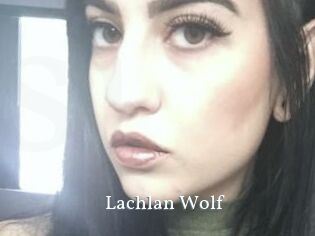 Lachlan_Wolf