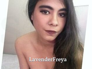 Lavender_Freya