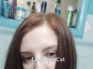 LilGingerCat