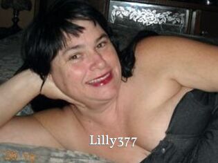 Lilly377