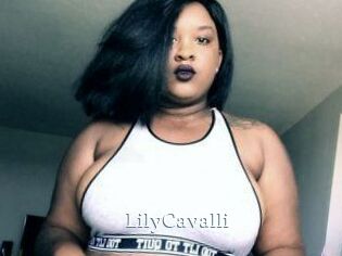 Lily_Cavalli