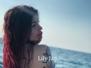 Lily_Jay